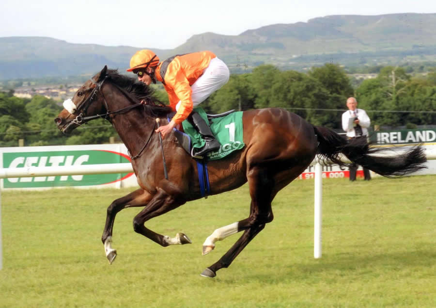 Solent Ridge Sligo 29th June